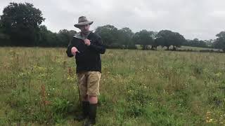 Rob Havard Field Day - Taking Hay in First Year Establishment