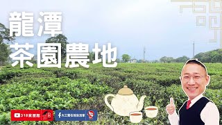 【東森三峽鶯歌北大】龍潭區｜茶園農地