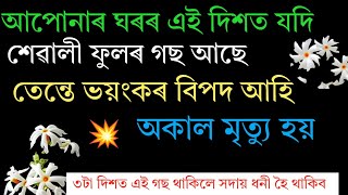 আপোনাৰ ঘৰৰ এই দিশত শেৱালী ফুলৰ গছ কেতিয়াও নাৰাখিব | পৰিয়াল পৰ্যন্ত ধ্বংস হোৱাটো নিশ্চিত || Vastu