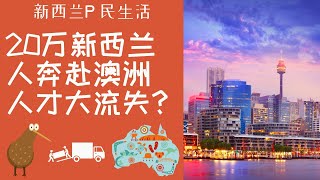 新西兰人才流失正在发生? 新西兰人正涌向澳洲 你听说了吗? 澳洲机会更多 薪水更高？