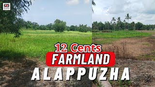 12 Cent farmland for sale in Cherthala, Alappuzha | SHAS-PB-5212 #alappuzha #realestate #kerala