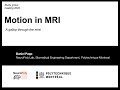 Daniel Papp - Motion in MRI