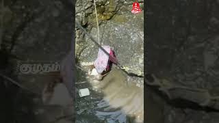 'குடிக்க தண்ணி இல்ல' -உயிரை பணயம் வைக்கும் பெண்கள் | Maharashtra | Water Scarcity