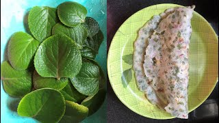 Karpooravalli Roti | Omavalli | Doddapatre | Healthy Recipe| RVS