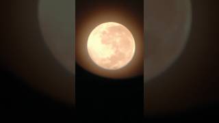 Moon through diy telescope 🔭 || #shorts #shortfeed #no1trending #astrophotography #moon #viral