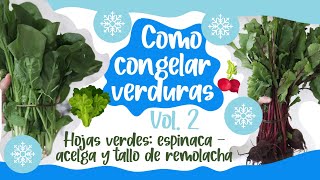 Congelar verduras en casa  - Vol. 2: Espinaca, acelga, hojas de remolacha