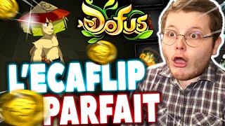 L'ÉCAFLIP PARFAIT DE DOFUS !