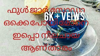 നീല ചായ ഇനി വീട്ടിലുണ്ടാക്കാം.|making of blue tea|