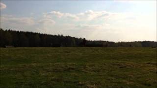 Terrängträning Sämsholm 110425.wmv