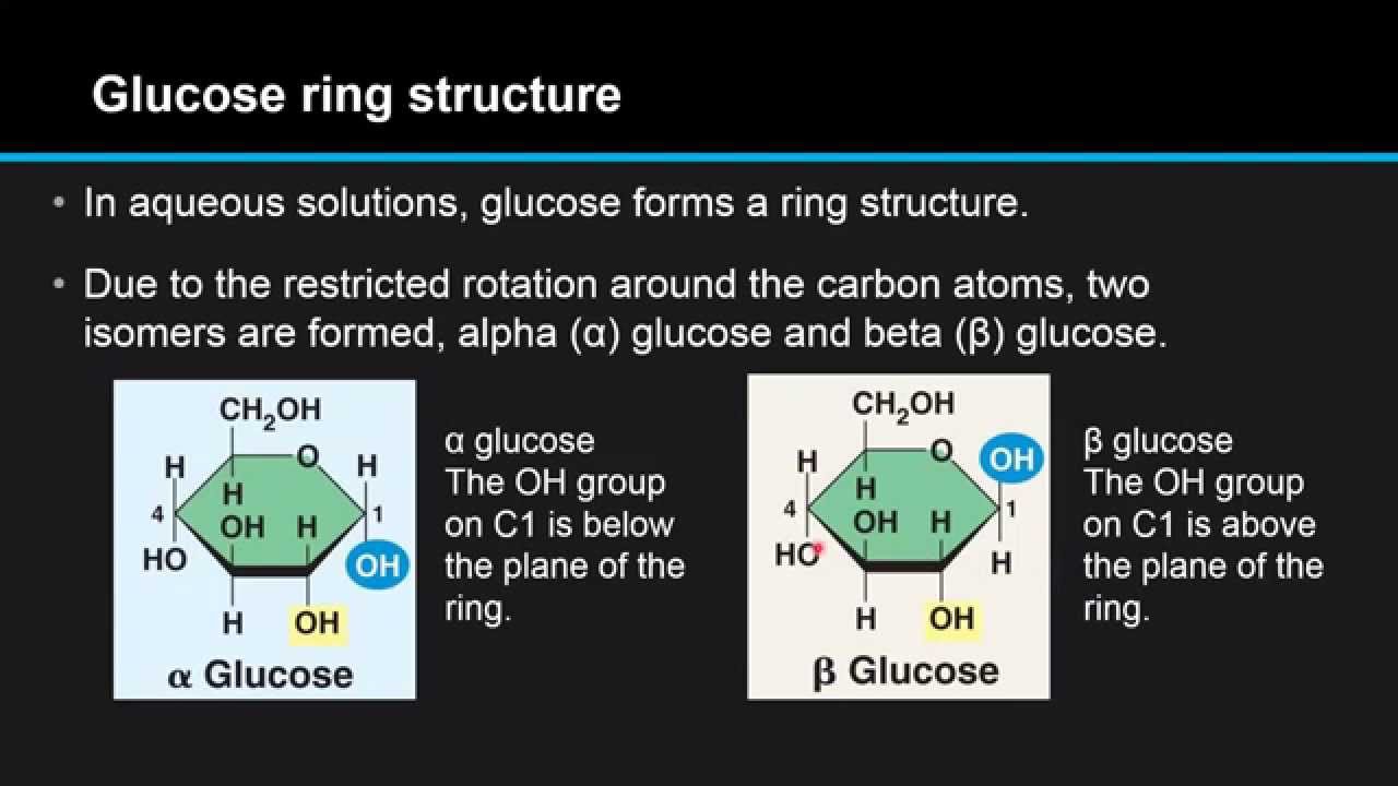 Fructose Structure Linear