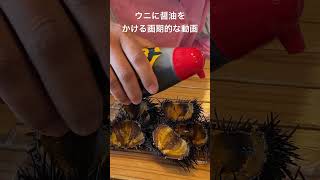 殻付きウニに醤油をかけるだけの画期的な動画