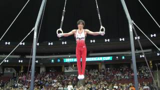 Ryohei Kato (JPN) - Still Rings - 2017 AT\u0026T American Cup