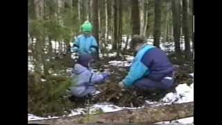 Talvinen metsäretki 1990