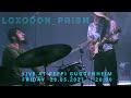 Peppi Guggenheim Berlin Live Concert: Loxodon_prism