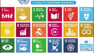 Catalyzing Change: Synergies between Individuals and Businesses in Pursuit of SDG