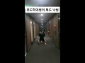 유도식 회전낙법 ㅋㅋㅋ