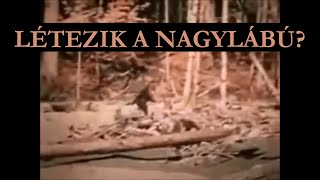 A Patterson-Gimlin Bigfoot felvétel | Kriptozoológia: NAGYLÁBÚ | D-akták 10