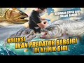 EPISODE KOLEKTOR !! DOKTER GIGI MANIAK IKAN PREDATOR BERGIGI TAJAM | COMTANK HEBOH DAN GOKIL !!