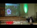 tedxstellenbosch nox makunga the potential of a medicinal wonderland