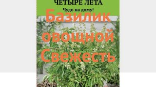 Базилик овощной Свежесть (svezhest) 🌿 базилик Свежесть обзор: как сажать семена базилика Свежесть