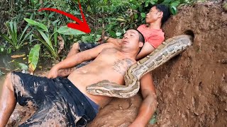 6 Brave Experts Catch Giant Python By Hand