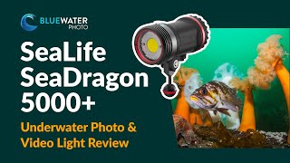 SeaLife SeaDragon 5000+ Underwater Video