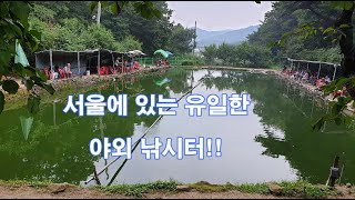 꿀조사 #15 은평구 농꿀낚시터(상) - 서울에 있는 유일한 야외 낚시터!!