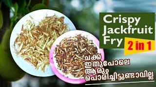 Crispy Jackfruit Fry | രണ്ട് വിധത്തിൽ ചക്ക  പൊരിച്ചത് | crispy chakka chips | chakka porichath