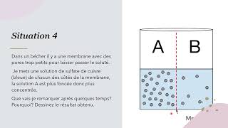 Diffusion et osmose (CSAG)