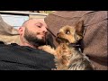 You Won't Believe How Cute This Yorkie Is - Watch Till The End !