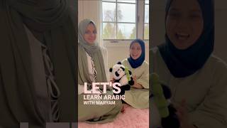 Let's Learn Arabic | Today's word is HOME | With Beloved Maryam and Fatima Masud | Episode 1 🏠