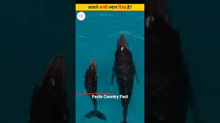 आपने कभी ध्यान दिया है 🤯 | #shorts #short #shortvideo #youtubeshorts #fact_country_fact #facts