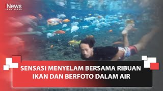 Sensasi Menyelam Bersama Ribuan Ikan Dan Berfoto Dalam Air