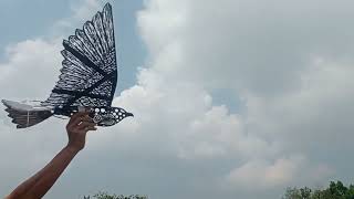 RC ornithopter bird mini wingspan 850mm send to tangerang #43