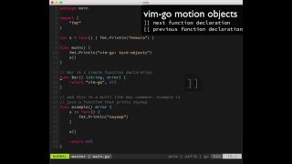 vim-go: text motion objects