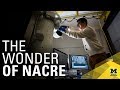 Real-time, nanoscale view of what makes nacre so tough