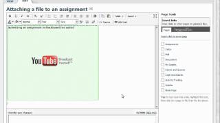 Inserting links and videos into PBworks (no audio)