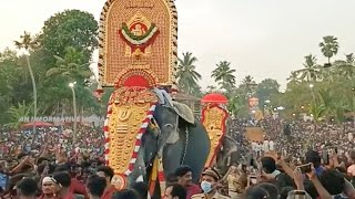 ആവേശം നിരഞ് ആനപ്പൂരം | Asias Biggest Elephant Pooram | Anayadi #anayadipooram #anayadi