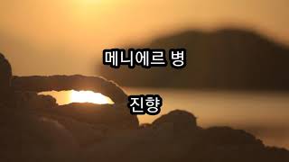 [시낭송] 메니에르 병 - 진향/시집 - 눈 감으면 떠오르는 이름을 지우는 시간이 길 때 딴생각을 해 /영애시낭송