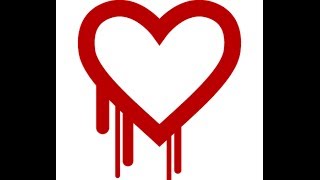Heartbleed: What is it, what can you do about it?
