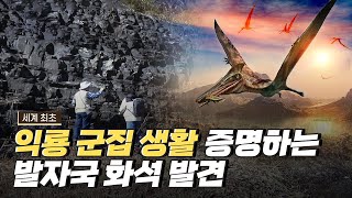 [핫클립] 무등산권 지질공원을 유네스코에 등재시킨 이유 / YTN 사이언스