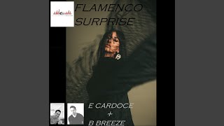 Flamenco Surprise