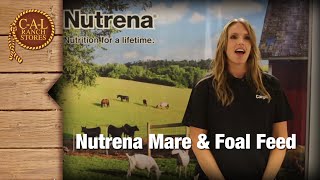 Nutrena SafeChoice Mare \u0026 Foal Feed