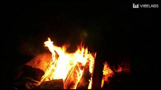 Midnight Campfire (5 HOURS) | Crackling Fire and Cicada Sounds