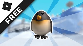 Playtube Pk Ultimate Video Sharing Website - penguin egg roblox