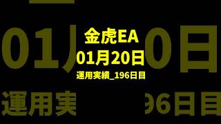 金虎EA検証_196日目