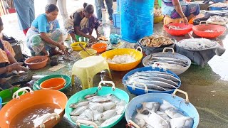 Malpe Fish Market | Wholesale Fish Sales 🐟 | Sunday Special 🐟🐠 | Malpe Beach Udupi