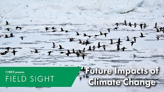 Future Impacts of Climate Change