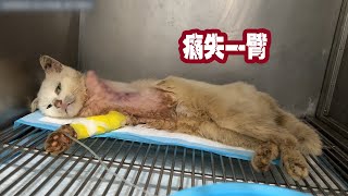 腿没了...不怕，还有我们！