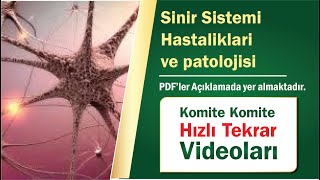 23 |  Sinir Sistemi hastaliklari ve patolojisi- Hızlı Tekrar